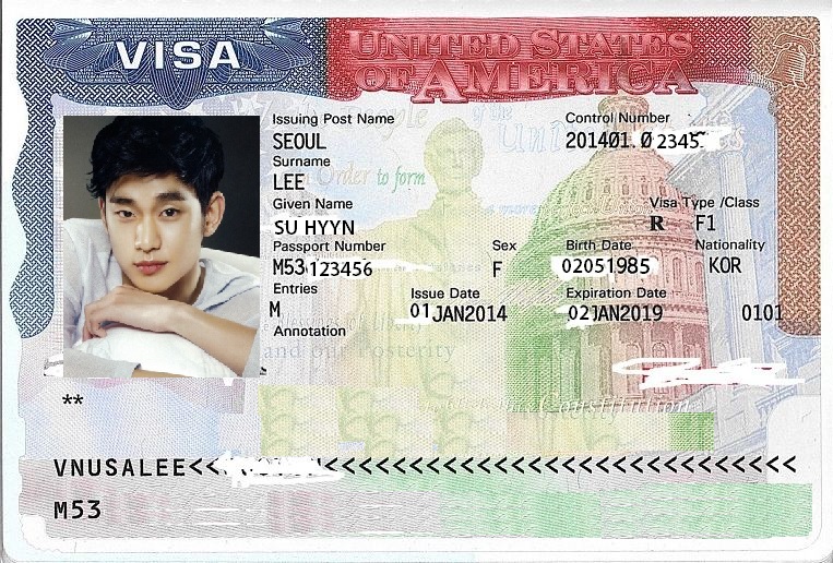 F Visa.jpg